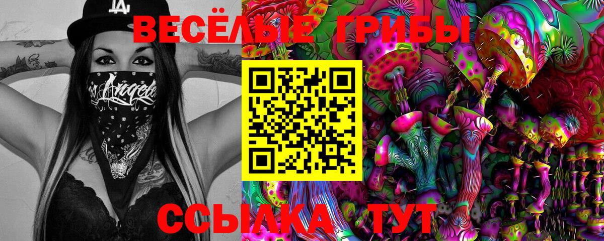 Псилоцибиновые грибы Psilocybe  Вход с VPN  Псилоцибиновые грибы MAGIC MUSHROOMS  Долгопрудный 
