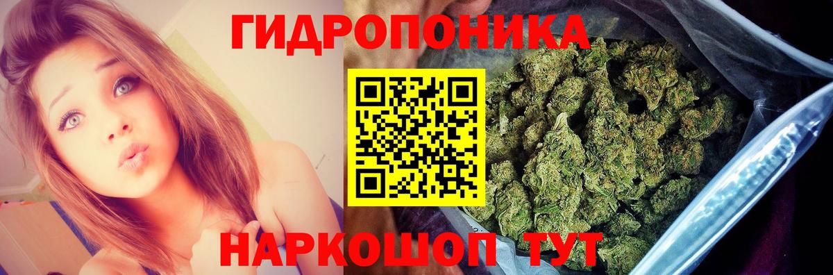 Каннабис конопля Долгопрудный